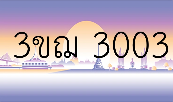 3ขฌ 3003